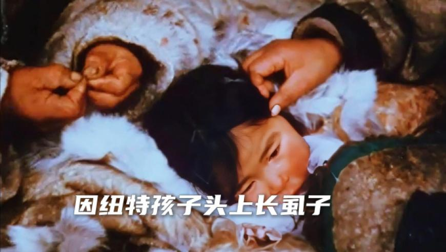 饺子：让申公豹长毛就是他的命,新澳门开奖结果开奖记录2025年开奖记录,机构预测与落实方法揭秘_完整版V7.67