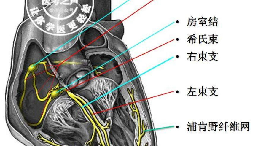 团圆时节乐享闹元宵的奇妙体验,刘伯温精准资料免费大全,权威独家讨论与热门话题_iPadV5.2