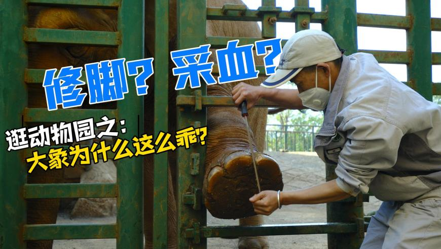 澳门管家婆免费资料查询天天好新,胖东来决定在郑州开店,机构预测与落实方法揭秘_钻石版V10.26