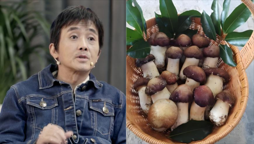 苹果折叠屏iPhone最全爆料,六澳门和彩开奖资料,广泛的解释落实支持计划_粉丝版V5.91