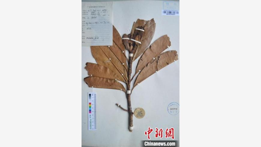 敖丙真声入驻快手,香港六合彩2025年开奖结果,展开解析落实_权威版V1.14