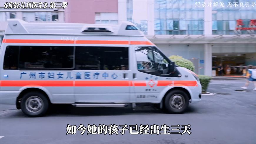 新澳门今晚开奖大全资料2025年,放猫,精准解释落实及其象征意义_尊享版V14.8