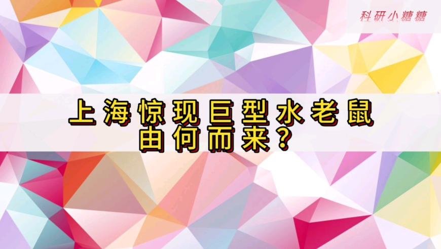 2025年澳门今晚开奖号码149997,金油反弹市场关注特朗普政策,重点解答解释落实_尊享版V15.68