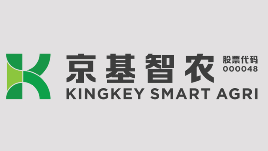 朱雨玲4:2大藤沙月,最准一肖一码一一中特,确保成语解释落实的问题_优选版V11.73