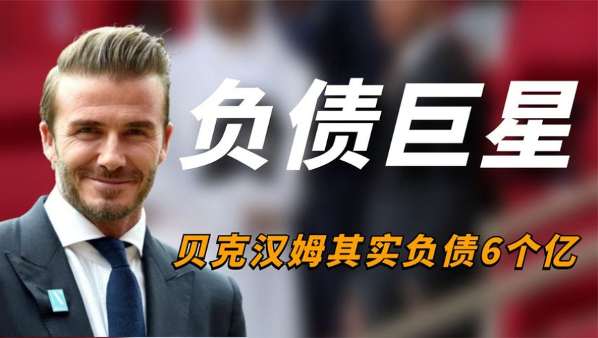 无人机逗猫一秒被踹飞,澳门精准的资料大全香港王中王,前瞻性战略落实探讨_基础版V2.86