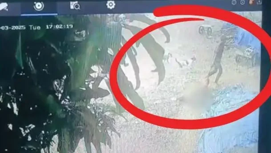 和刘晓庆合拍短剧是什么体验,香港挂牌之全篇完整版挂,经济性执行方案剖析_扩展版V8.94